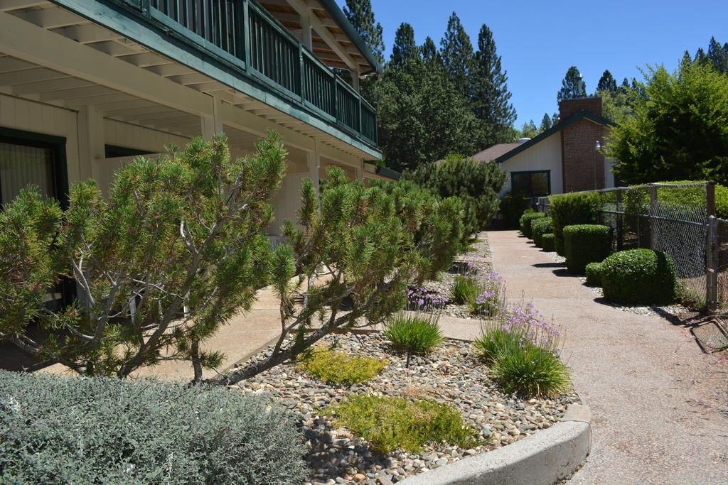 Pioneer Inn & Suites Volcano Exterior photo